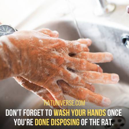 You Should Wash Your Hands After The Process