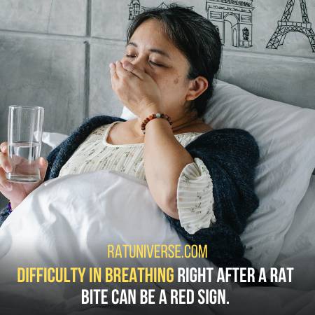 It Can Be Difficult To Breath After A Rat Bite
