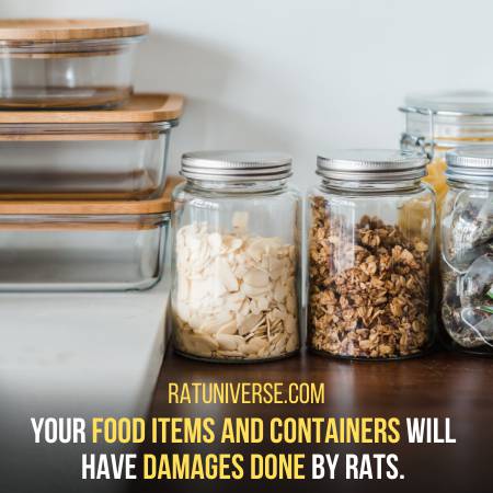 Rats Will Do Damage To Your Food Items